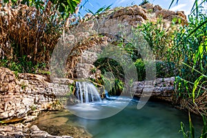 A waterfall in the Judean desert