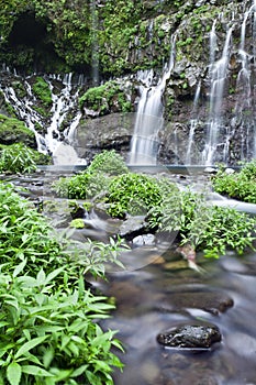 Waterfall in jungle