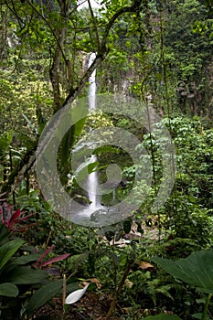 Waterfall in jungle