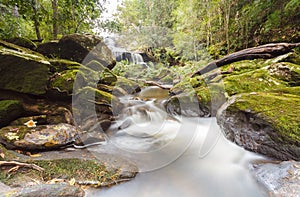 Waterfall in the jungle