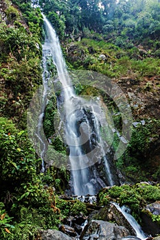 The waterfall in the jungle