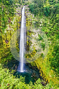 Waterfall in the jungle