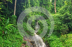 Waterfall in jungle at Chiang Rai, Thailand.