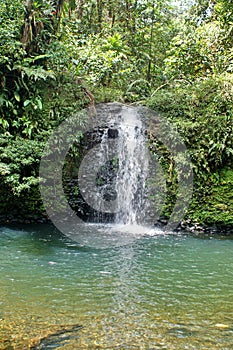 Waterfall in the jungle in Ecuador