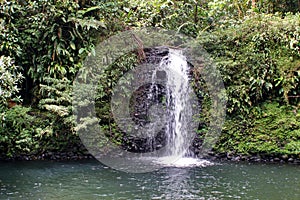 Waterfall in the jungle in Ecuador