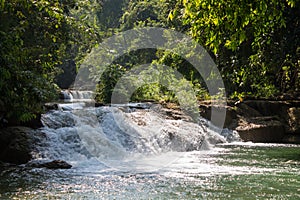 Waterfall in the jungle green forest