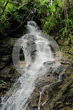 Waterfall in the jungle green forest