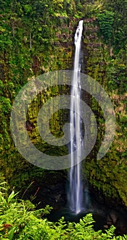 Waterfall in jungle of Hawaii