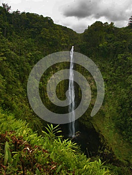 Waterfall in jungle of Hawaii