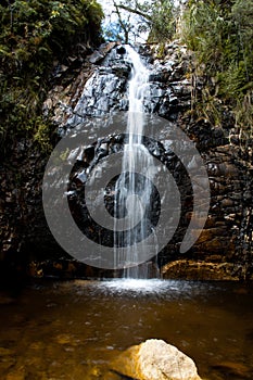 Waterfall in the jungle