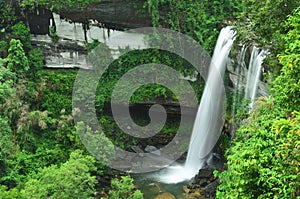 Waterfall in the jungle