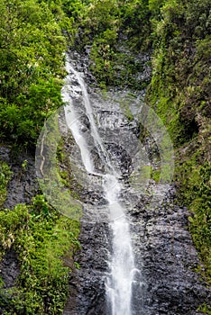 Waterfall in jungle