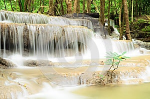 Waterfall in the jungle