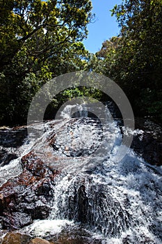 Waterfall in jungle. Sinharaja rainforest, Sri Lanka