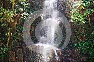 Waterfall, jungle and trees in environment with rocks, growth and sustainability in summer in nature. River, leaves and