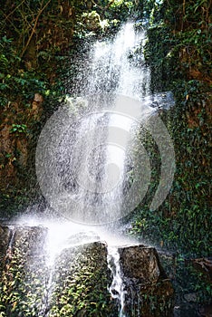 Waterfall, jungle and trees on landscape in nature, growth and sustainability in summer with rocks. River, leaves and