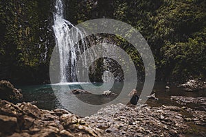 Waterfall in Kitekite Falls, New Zealand surrounded by trees