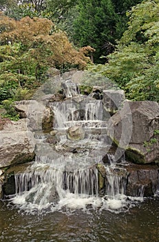 Waterfall at Kyoto gardens in Holland park London