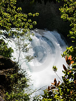 Waterfall of La Leona, in Huilo Huilo Biological Reserve, Los RÃ­os Region, southern Chile