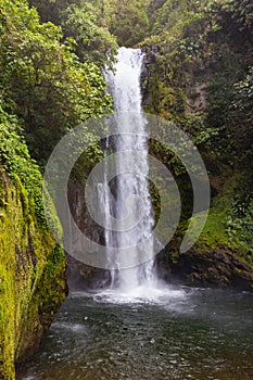 Waterfall in La Paz Waterfall Gardens Nature Park