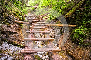 Vodopád s rebríkom v kaňone, suchá bela v Slovenskom raji, Národný park Slovenský Raj, Slovensko.