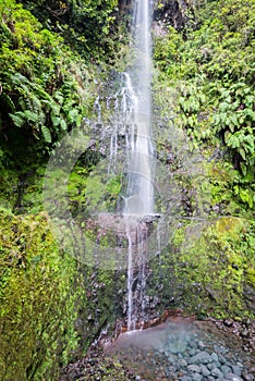 Waterfall in the Levada of Caldeirao Verde, Madeira, Portugal photo