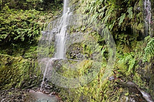 Waterfall in the Levada of Caldeirao Verde, Madeira, Portugal photo