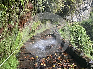 Waterfall in Levada do Rei. Madeira.