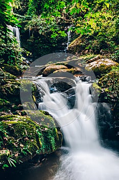 Waterfall located in the forest of Thailand. The water flows over a rocky cliff into a pool.