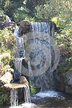 Waterfall at Los Angeles Arboretum and Botanical Garden