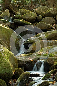 Waterfall in lush autumn woods