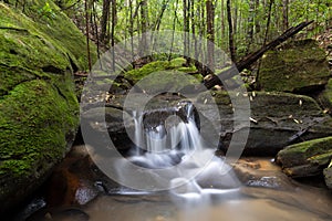 Waterfall in lush green Australian bush land