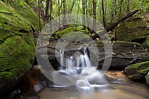 Waterfall in lush green Australian bush land photo