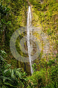 Waterfall in a lush, green tropical rainforest in Maui, Hawaii