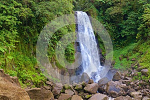 Waterfall in Martinique, Caribbean