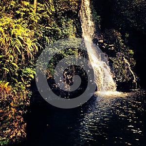Waterfall on Maui