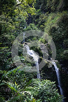 Waterfall in Maui Hawaii