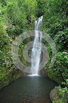 Waterfall, Maui, Hawaii