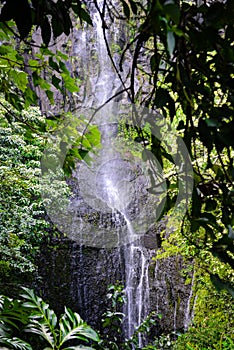 Waterfall in Maui Hawaii