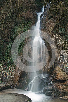 Picturesque spring nature of Abkhazia