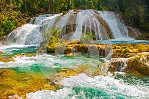 Waterfall in Mexico. Stunning waterfall Agua Azul near Palenque. Chiapas.