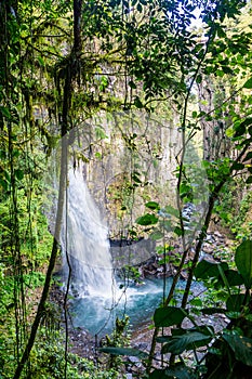 Waterfall of Mexico Xico Veracruz fog forrest