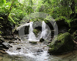 Tropical Rainforest Waterfall in Papua New Guinea photo