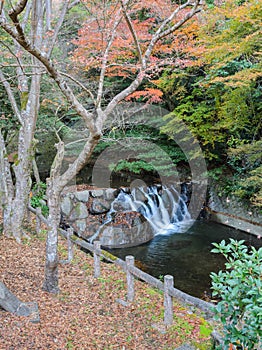 Waterfall at Minoo or Minoh national park in autumn, Osaka,