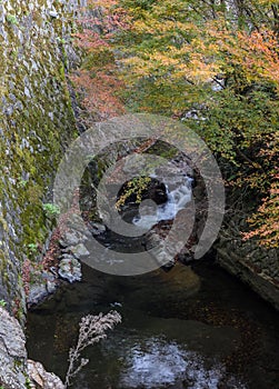 Waterfall at Minoo or Minoh national park in autumn, Osaka, Japan