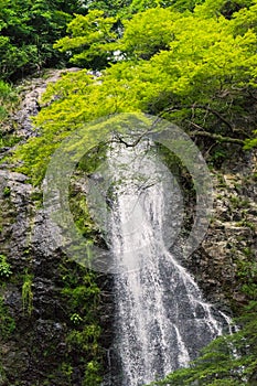 Waterfall of Minoo, Osaka, Japan in summer
