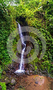 Waterfall in Mistico hanging bridges, Alajuela, Costa Rica photo