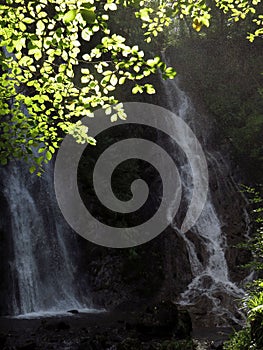 Waterfall, misty, in woodland setting