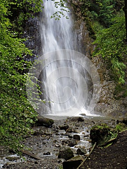 Waterfall, misty, in woodland setting