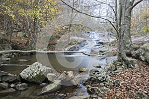 Waterfall in Montseny